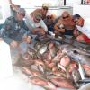 big muttons and groupers